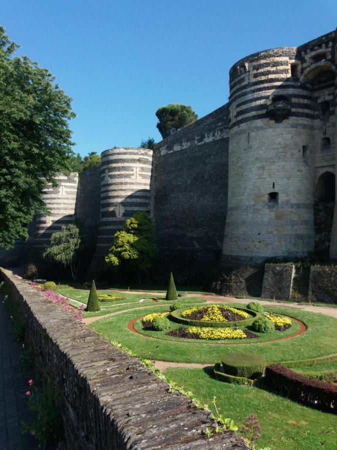 Les Suites Angevines Angers Luaran gambar