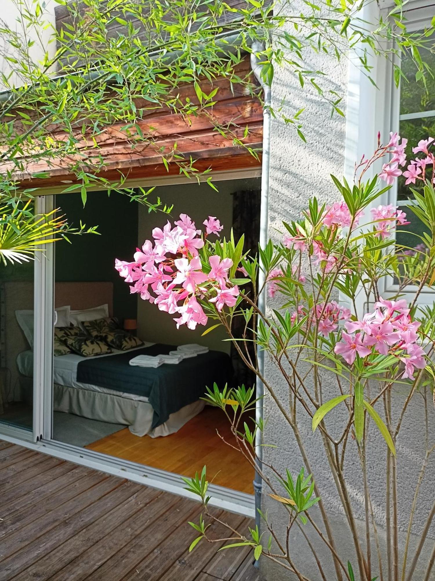 Les Suites Angevines Angers Luaran gambar